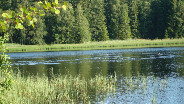 Stierh&uuml;belteich, &copy; Manfred Grill