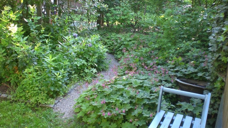 Ein idyllischer Garten mit einem Kiesweg, umgeben von &uuml;ppigem Gr&uuml;n und bl&uuml;henden Pflanzen. Eine blaue Bank steht am Wegesrand.
