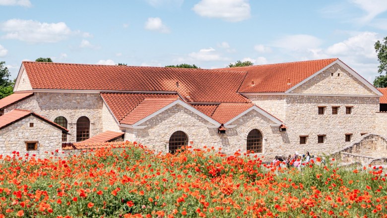 R&ouml;misches Geb&auml;ude in Carnuntum mit roten Ziegeld&auml;chern und bl&uuml;hendem Mohnfeld im Vordergrund.