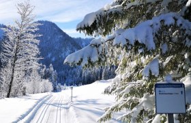 Hochmoorloipe, &copy; Mostviertel