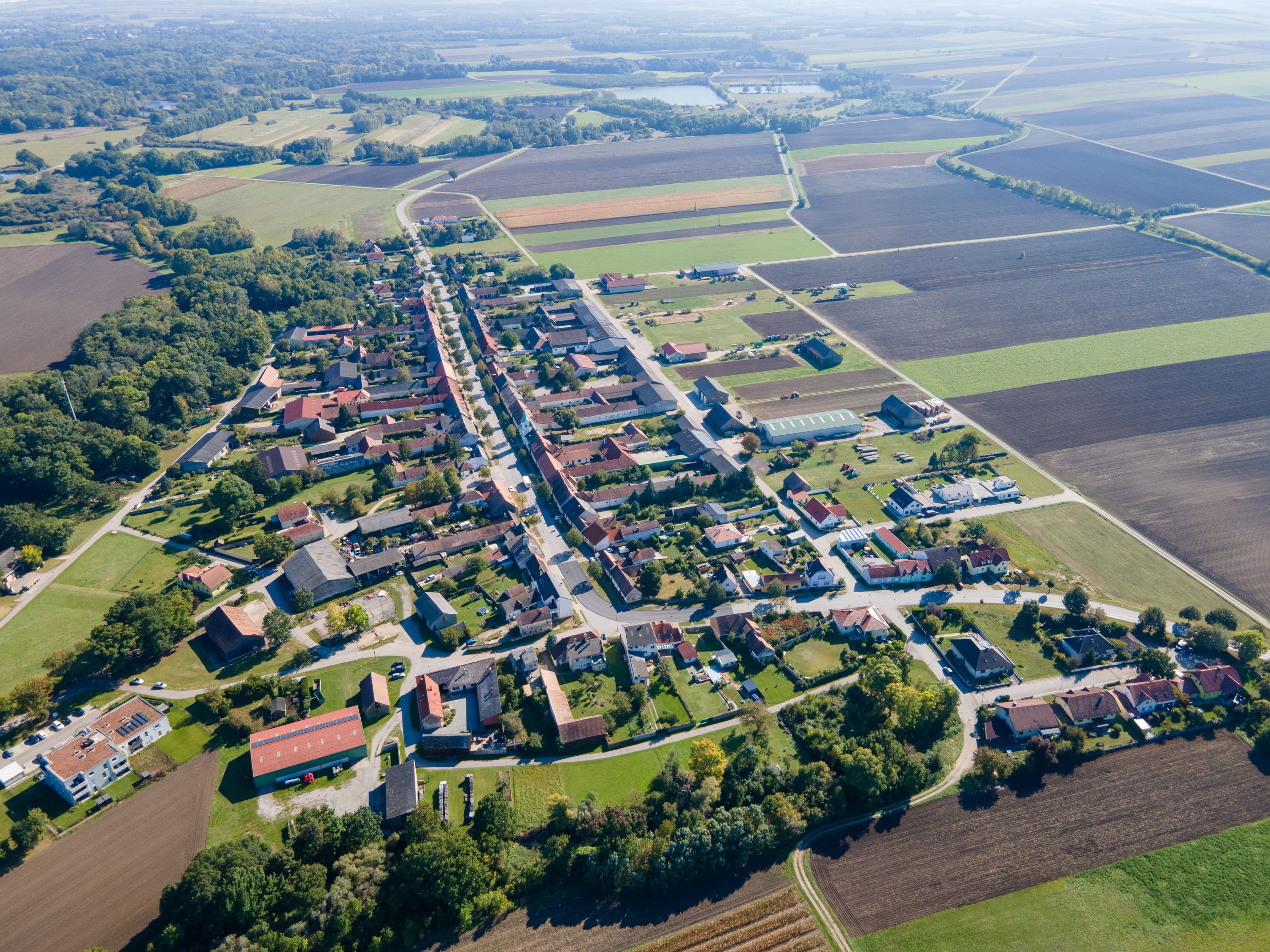 Luftaufnahme der Gemeinde Weiden an der March mit Dorfkern, Feldern und Waldstreifen in der Umgebung.