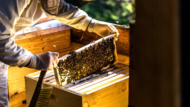 Julia die Imkerin, &copy; Einkehrhof Poggau