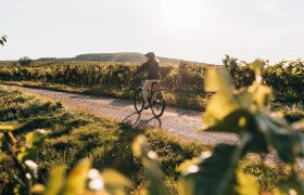 Weinradeln in Mailberg, &copy; Nieder&ouml;sterreich Werbung/Romeo Felsenreich
