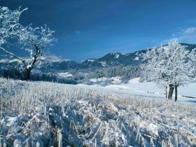 Prigglitz im Winter, &copy; Gemeinde Prigglitz