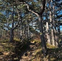 Trails Ansicht "Wei&szlig;er Weg", &copy; Marktgemeinde Soo&szlig;