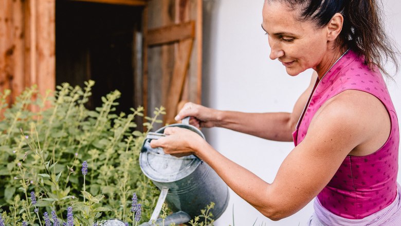 Nestelberg 17, &copy; Sabine Wieser