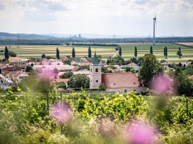 Blick auf Stixneusiedl, &copy; Donau Nieder&ouml;sterreich - Tourismusb&uuml;ro Carnuntum-Marchfeld