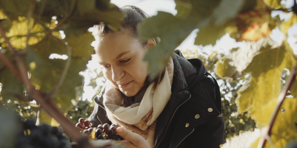 Treffen sich Zwei Weinherbst, © We Make Stories