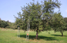 Ab Hof Verkauf Familie Ertl, &copy; Familie Ertl